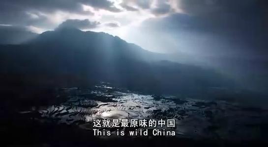 【深蓝学院】为什么 BBC 纪录片拍摄水平和叙事水平那么高？