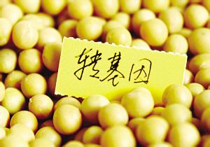 剖析转基因：从科学的角度出发