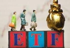 今日开炒期权，看点有哪些，没散户什么事？