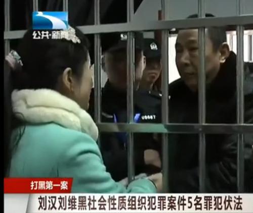 【评论】刘汉真的是死于“野心太大”吗