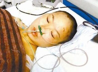 因“救女童被狗咬”骗捐涉案，当地电视台媒体人被抓