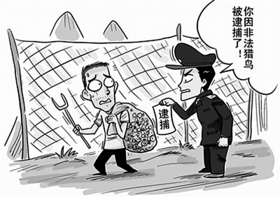一不小心悲剧上演，身边小动物受法律保护你知道吗