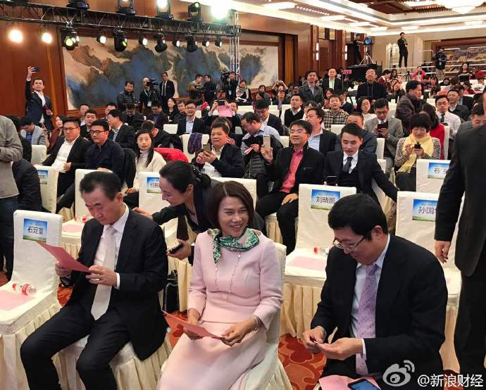 厉害了word姐，为了造车梦，董小姐拉来了王健林！