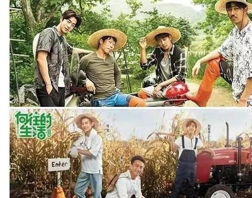 芒果、番茄、荔枝台，韩媒说，他们的政府要治你们“抄袭”了！