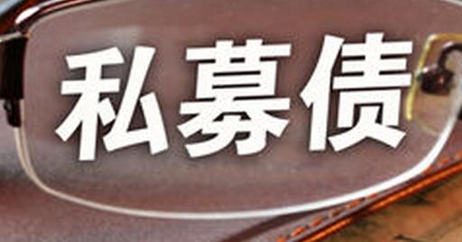  乐视网20亿私募债将到期回售 首只已全额偿付