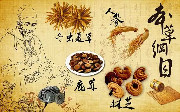 尴尬！日本靠中药赚光全世界的钱，中国人却还在为中西医谁正宗打架 