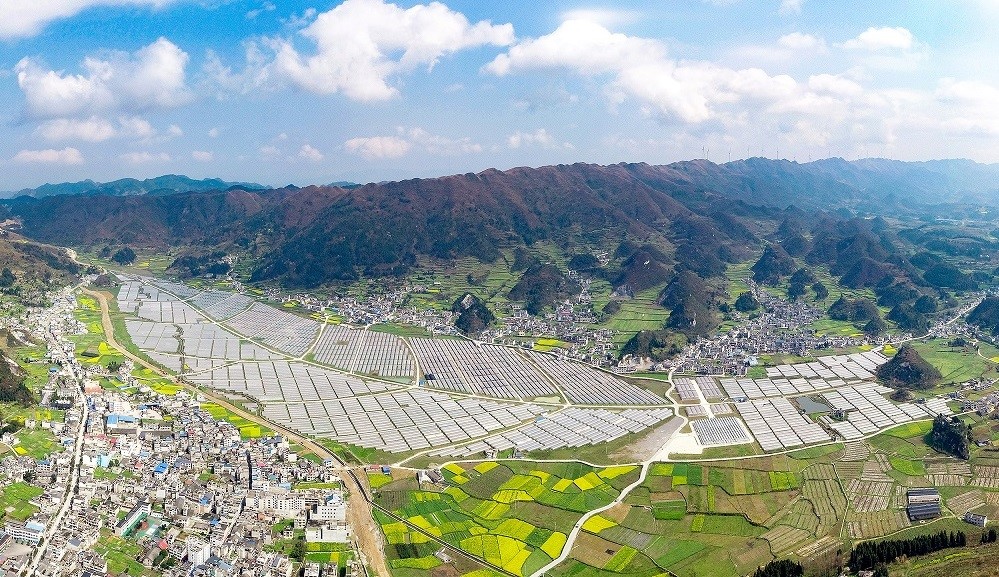 5cd29c8ef0608.jpg 6.jpg