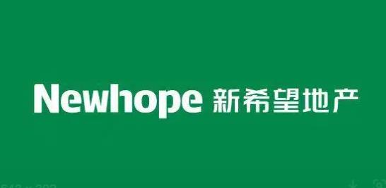 接手佛山金沙公馆5成股权，新希望地产单独操盘