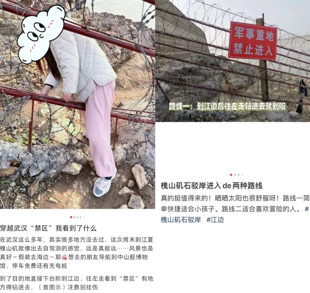 65ae43122123e.png 2.png