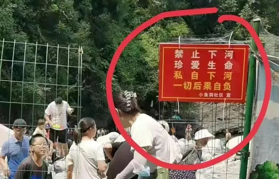 65ae432120577.png 3.png