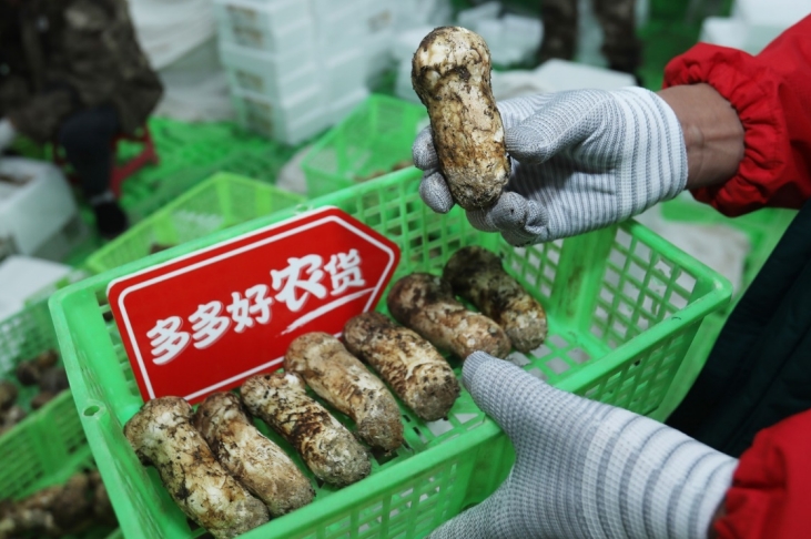 微信截图_20240820113308.png