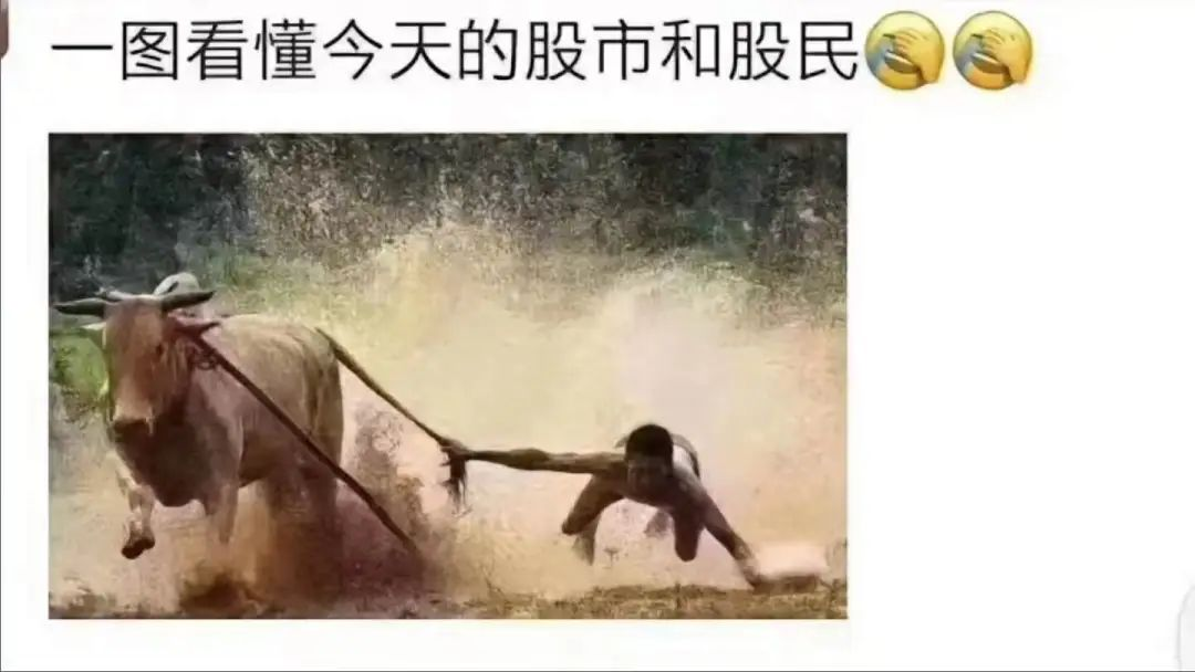 活久见！上交所被股民干崩了，软件商表示不背锅
