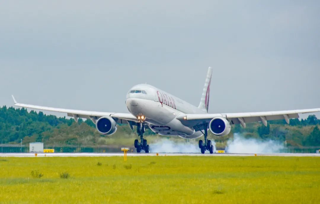 6745a319035c4.jpg 640.jpg