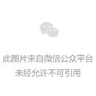 国泰君安名嘴宫斗 任泽平、林采宜你们弄啥呢