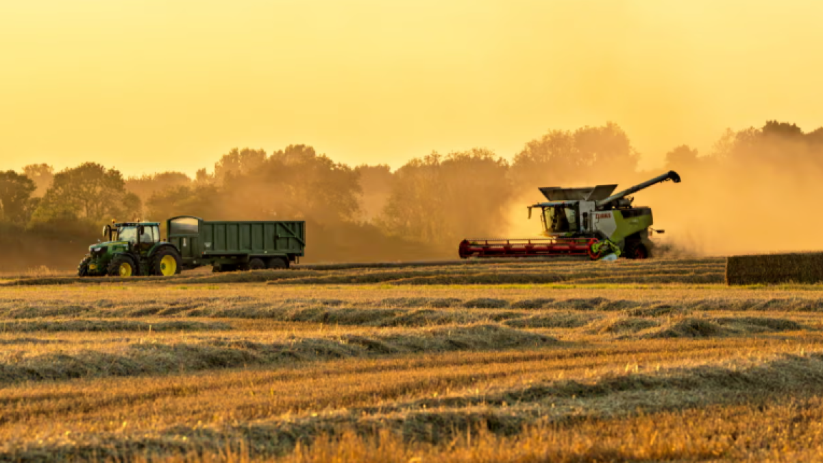 囤粮囤金囤矿，全球疯狂囤“粮”的背后真相