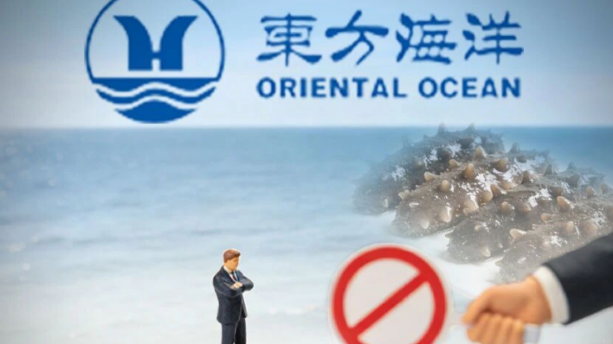 债权人申诉全败！东方海洋“躺赢”，不为创始人违规担保“背锅”