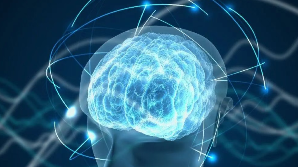 全球首个多尺度脑机接口人工智能算法云平台重磅发布