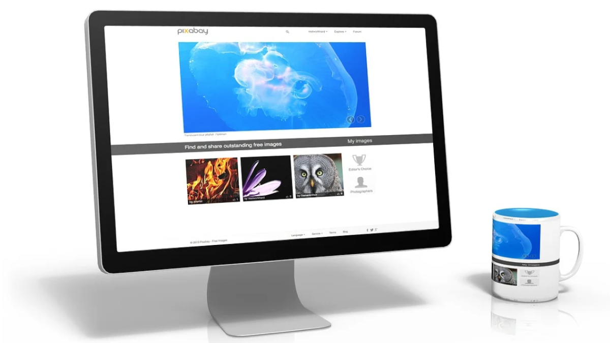 7家财经媒体同时宣布：未经许可，原创内容不得用于AI抓取和训练