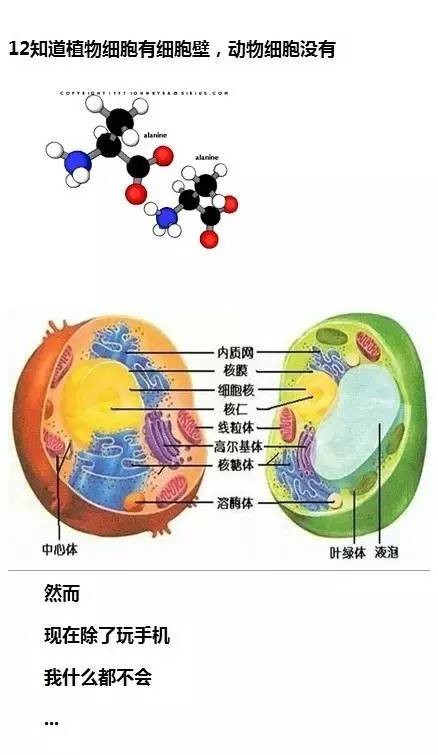 微信开机图究竟是几月份拍、摄、的……请问:这神题谁会?? 微信开机图究竟是几月份拍、摄、的……请问:这神题谁会??