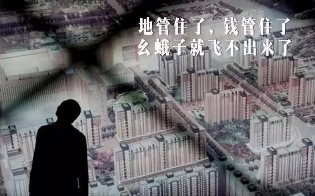 房价最疯狂的这一年 重庆房价为何只涨了0.4%？